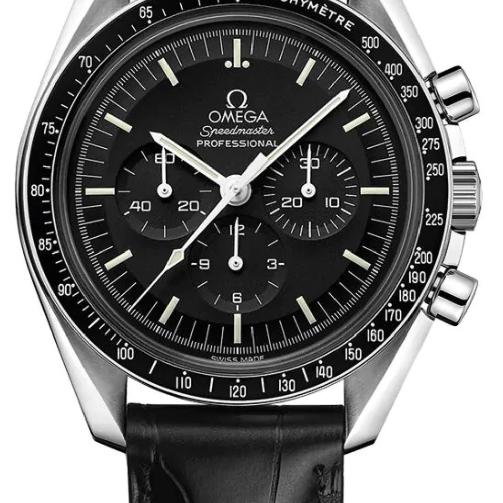 Professional Moonwatch 42mm